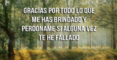 Frases de agradecimiento